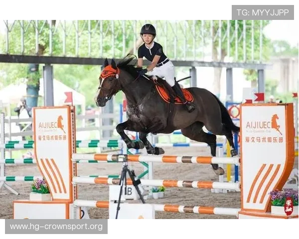 台湾体育发展新机遇与挑战探讨：从全民健身到国际赛事的跨越